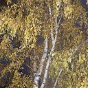 ���� Alexander, ������, 79 ��� - ��������� 20 ������� 2015 � ������ ���� ����������