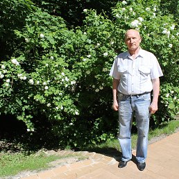 ���� Alex, ������, 62 ���� - ��������� 8 ����� 2016