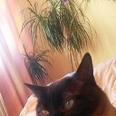 ���� Lelja, ������, 41 ��� - ��������� 24 ������ 2015 � ������ ������ ��������