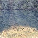  ,  -  26  2015       2015 