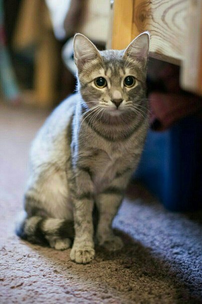 !!!  !!! , !   https://fotostrana.ru/away?to=/sl/iPf2 ...
