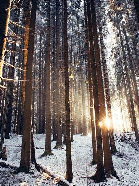 Кто понял жизнь, тот больше не спешит, Смакует каждый миг и наблюдает — Как спит ребенок, молится ... - 2