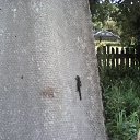 ���� �������, ����, 47 ��� - ��������� 8 ������� 2015