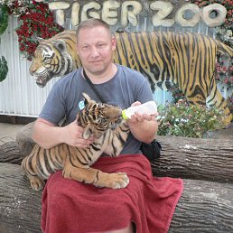 ���� ������, �����������, 50 ��� - ��������� 10 ������� 2016