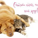 ���� *Larisa, �������, 50 ��� - ��������� 8 ������ 2016 � ������ �������� ��������