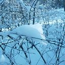 ���� ������, �����, 52 ���� - ��������� 26 ������ 2016 � ������ ���� ����������