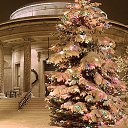 ���� �����, ������� - ��������� 25 ������� 2015 � ������ ������ ��������