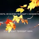 ���� �����, ���-���� - ��������� 26 ������� 2015 � ������ ������ ��������