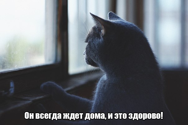       - 29  2015  05:30