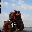 ���� ��������, ���������, 34 ���� - ��������� 31 ������ 2016