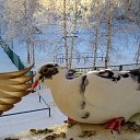 ���� ��������, ��������� - ��������� 14 ������� 2015