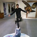 ���� ����, ������, 37 ��� - ��������� 9 ������ 2015 � ������ ���� ����������