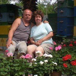 Gio, �������, 60 ���