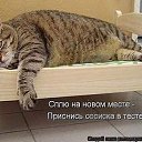  ,  -  2  2015    