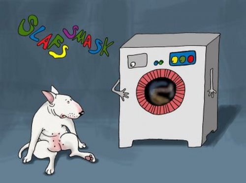 Приключения бультерьера Лены из Швеции=D - 5