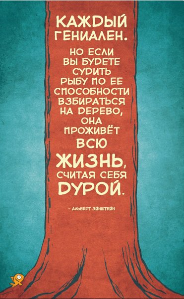   . - 29  2015  12:14