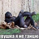 ���� ������, ������-��-����, 60 ��� - ��������� 19 ������ 2015