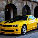 ���� Enia, ����, 26 ��� - ��������� 14 ������� 2015