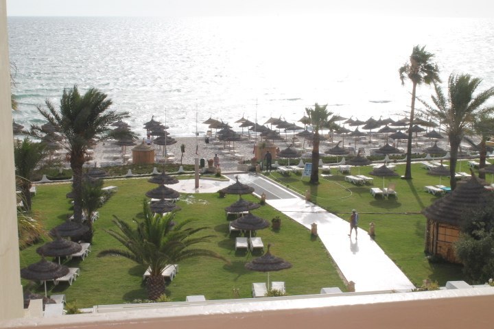 �����, Novostar Palmyra 3*, 2014 - 7