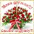���� �����, ����� - ��������� 9 ������� 2015