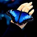 ���� �������, �����, 64 ���� - ��������� 19 ������� 2015 � ������ ������ ��������