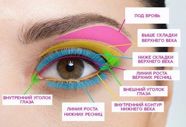 Самый лучший гид по макияжу. Не забудь сохранить себе. Под бровь: На выделенный цветом участок ты ...