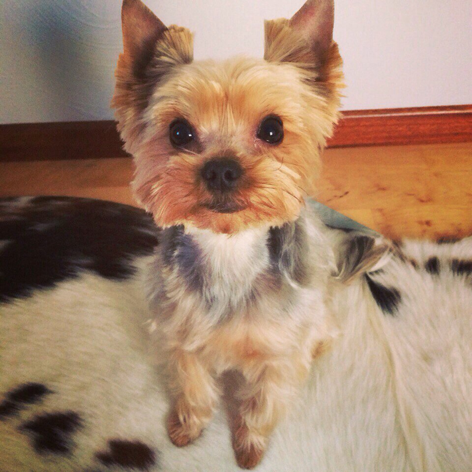 !! !!!!!!      . ,  ...