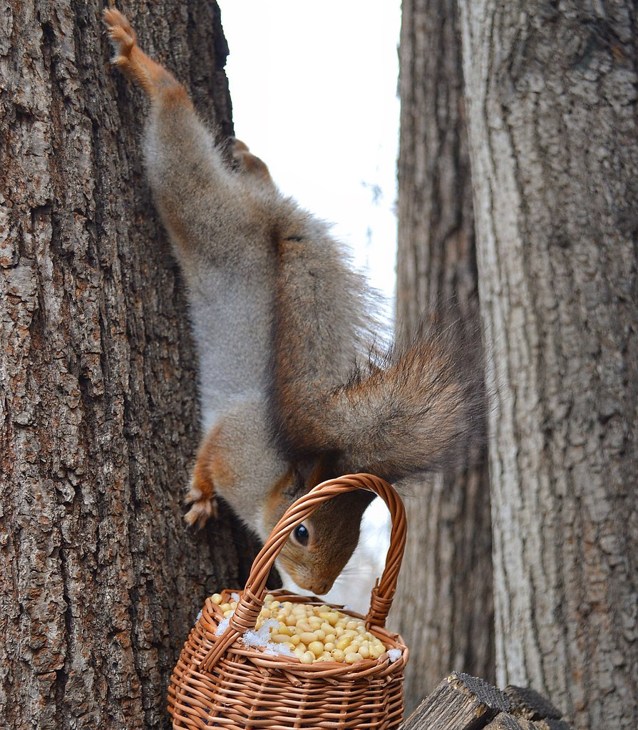    - 16  2016  19:37 - 2