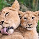  Nta-., - -  4  2016      .