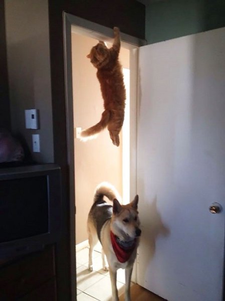 ����������