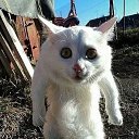 ���� �������, ����������� - ��������� 26 ������ 2015 � ������ ���� ����������