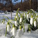 ���� �������, ��������, 66 ��� - ��������� 1 ����� 2016 � ������ ������ ��������