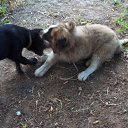 ���� �����, ������ - ��������� 24 ������� 2015 � ������ ������ ��������