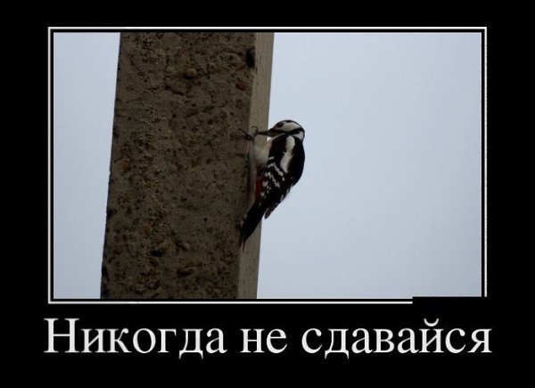     - 1  2016  09:40