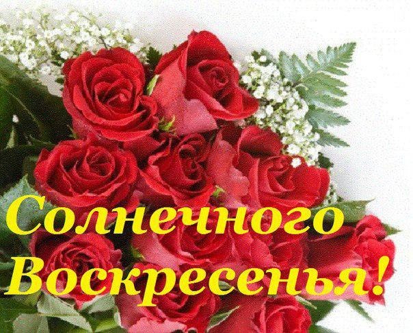 �������� ����� - 13 ������� 2015 � 08:00