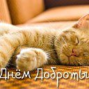 ���� ���������, �����������, 63 ���� - ��������� 10 ������ 2016 � ������ �������� ��������