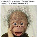 ���� �����������, ���������, 68 ��� - ��������� 29 ������� 2015 � ������ ������ ��������