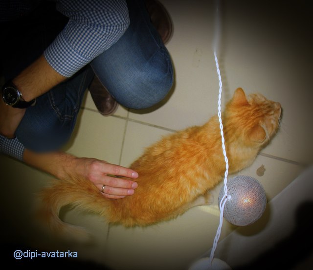 dipi-avatarka - 4  2015  16:25