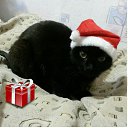 ���� ������, ����������� - ��������� 22 ������ 2016 � ������ ����� ����