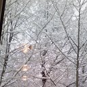 ���� ���, �����, 61 ��� - ��������� 29 ������� 2015 � ������ ���� ����������