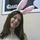 ���� �����, �����, 33 ���� - ��������� 31 ������� 2015 � ������ ���� ����������