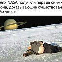 ���� ����, �������� - ��������� 23 ������ 2016 � ������ ������ ��������