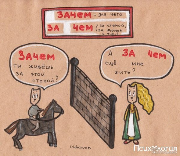 10 правил русского языка в котах.В русском языке столько нюансов, что порой мы начинаем в них ...