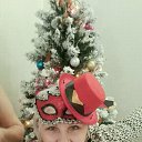 ���� ������, ���� - ��������� 24 ������ 2016 � ������ ���� ����������