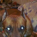 ���� ������� ����-���, ������, 45 ��� - ��������� 14 ������ 2016 � ������ ��� �������