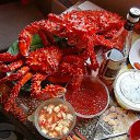 ���� ������, ��������, 67 ��� - ��������� 30 ������ 2016 � ������ ������ ��������