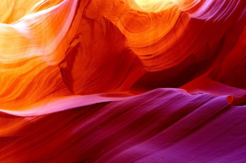 ������������ ������ ��������, ��� - 5