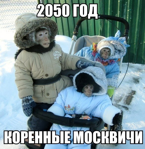 -  - 9  2016  11:41