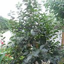 ���� ����, �����, 73 ���� - ��������� 18 ������� 2015 � ������ ���� ����������