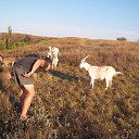 ���� �������, ���������, 42 ���� - ��������� 23 ������ 2016 � ������ ���� ����������